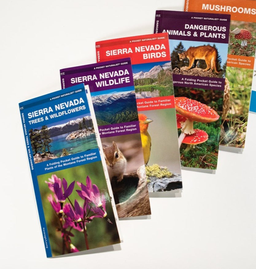 Pocket Naturalist Guides