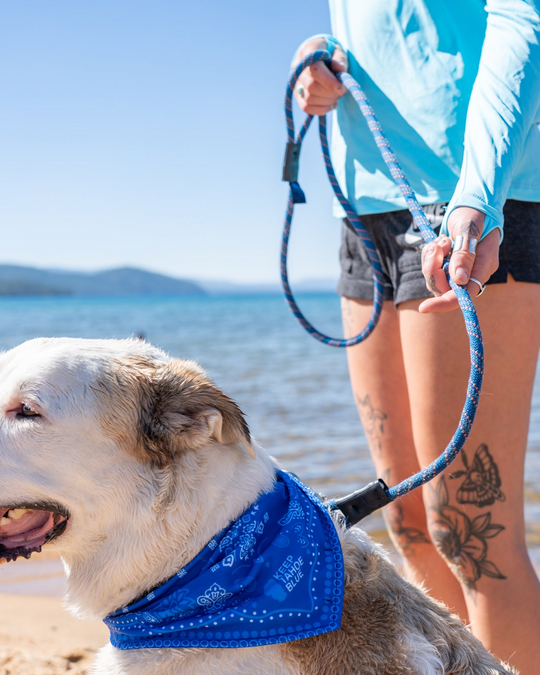 Adventure Leash