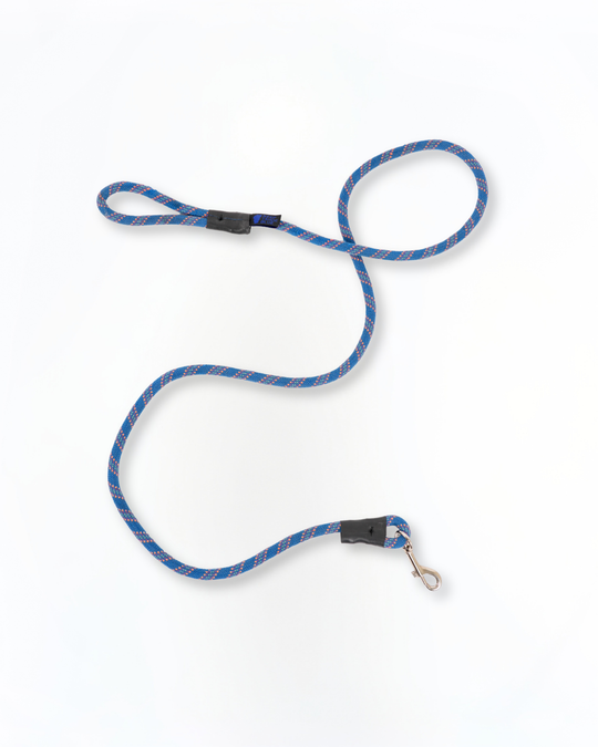 Adventure Leash
