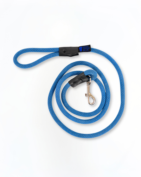 Adventure Leash