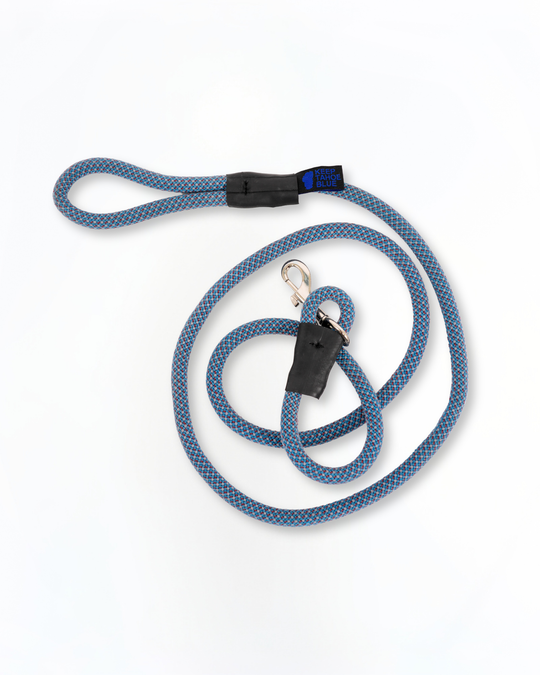 Adventure Leash
