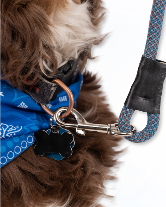 Adventure Leash