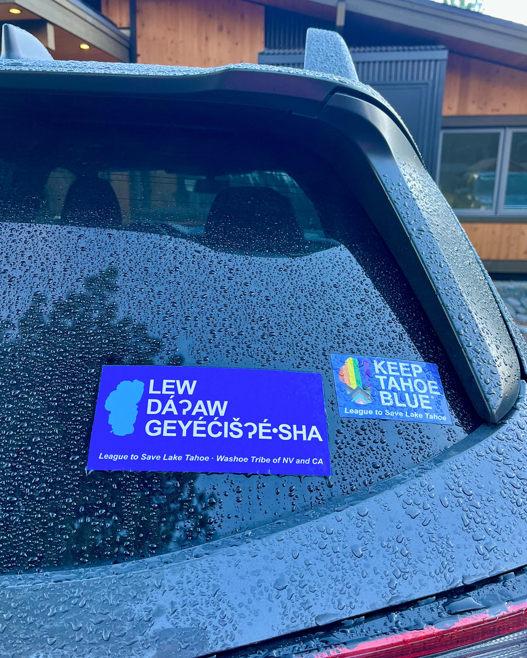 Waší∙šiw | Washoe Sticker