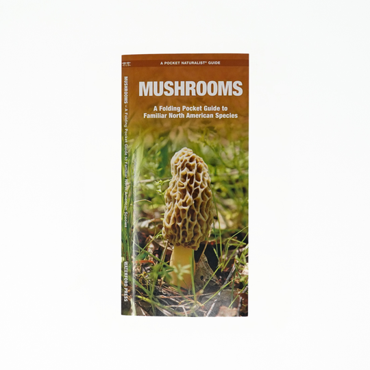 Mushrooms
