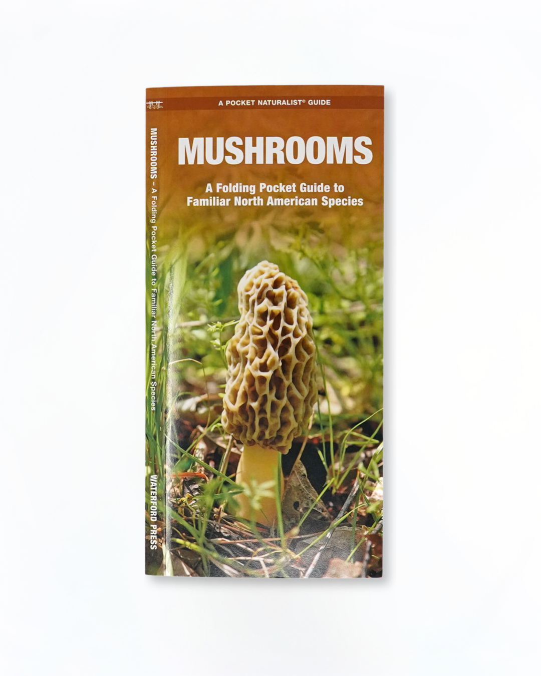 Mushrooms