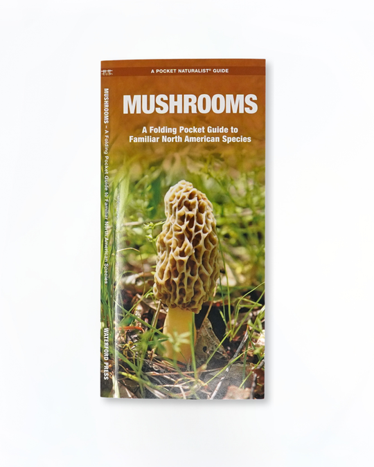 Mushrooms
