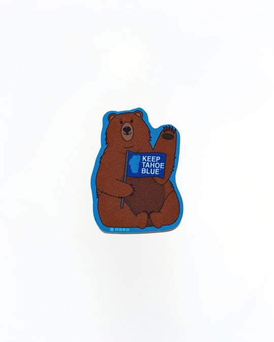 NoSo Bear Patch