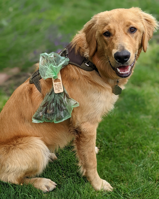 Pet Waste Bag Clip
