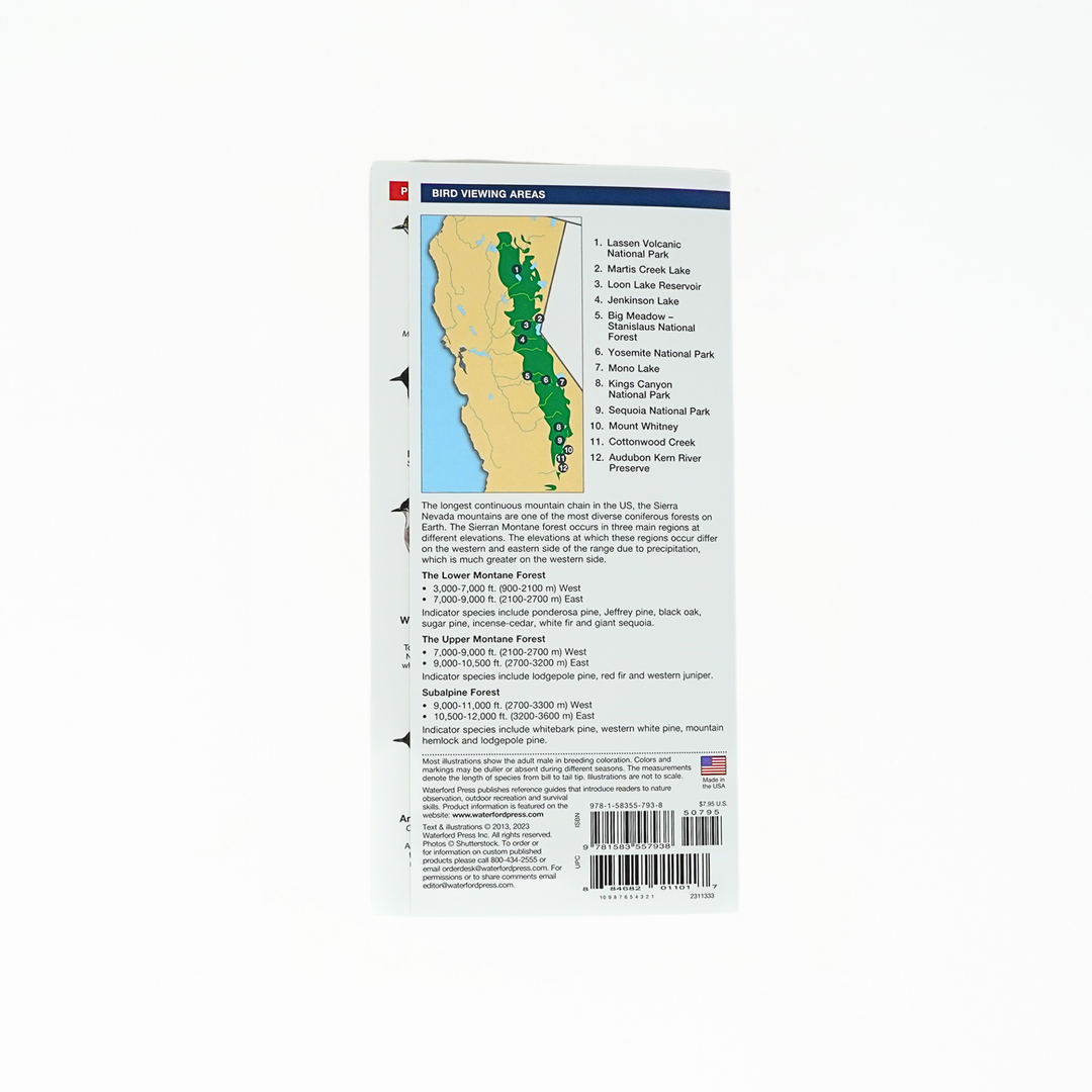 Sierra Nevada Birds