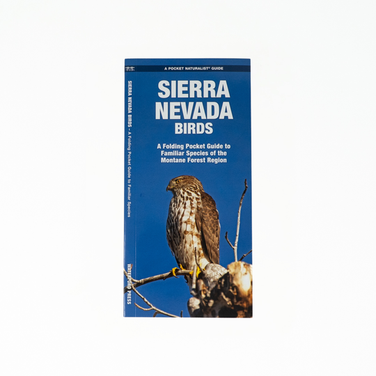 Sierra Nevada Birds
