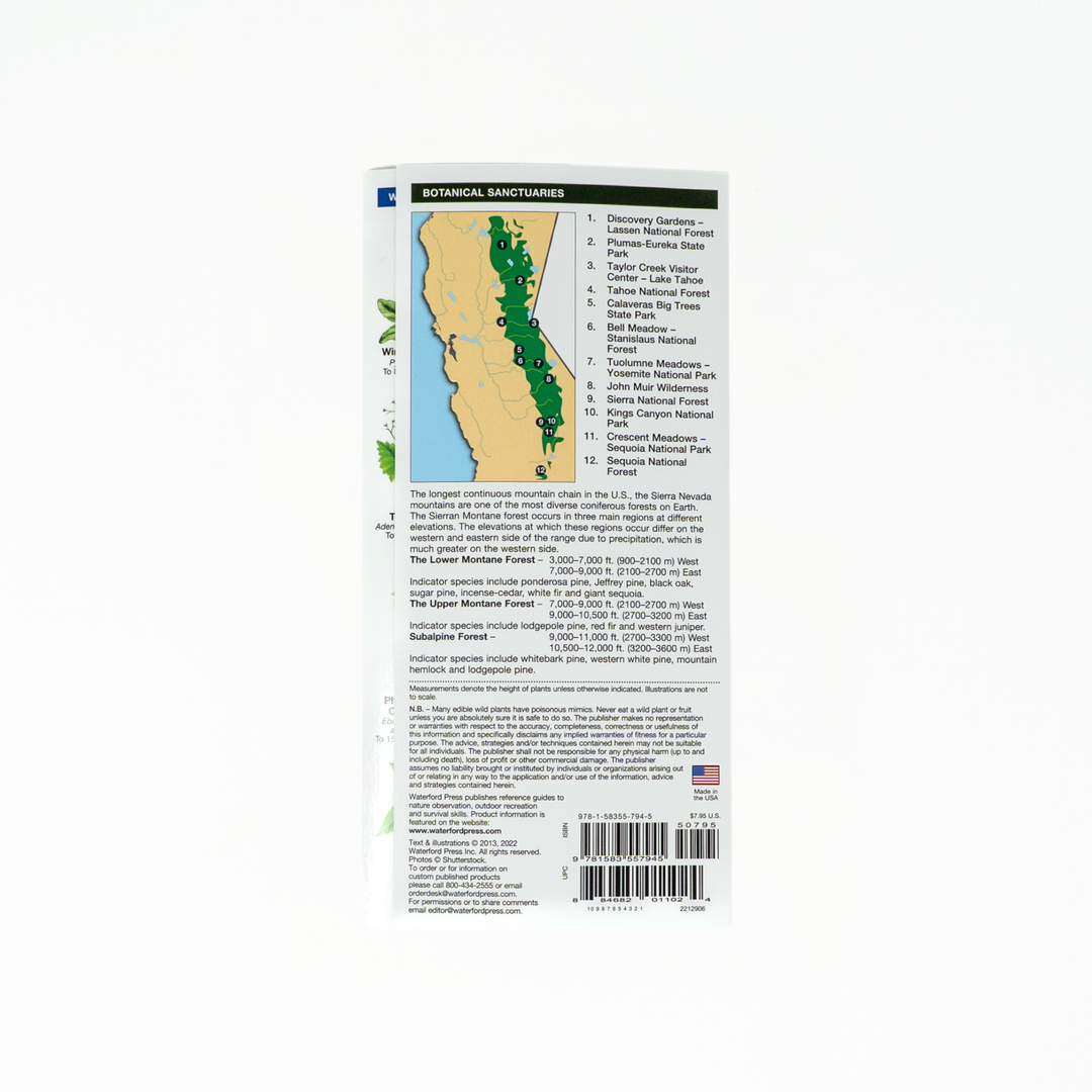 Sierra Nevada Trees & Wildflowers