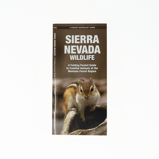 Sierra Nevada Wildlife