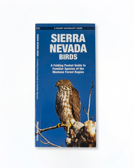 Sierra Nevada Birds