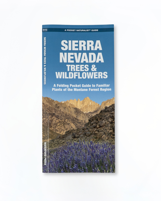 Sierra Nevada Trees & Wildflowers