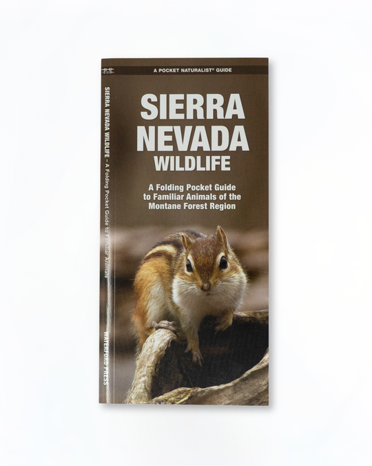 Sierra Nevada Wildlife