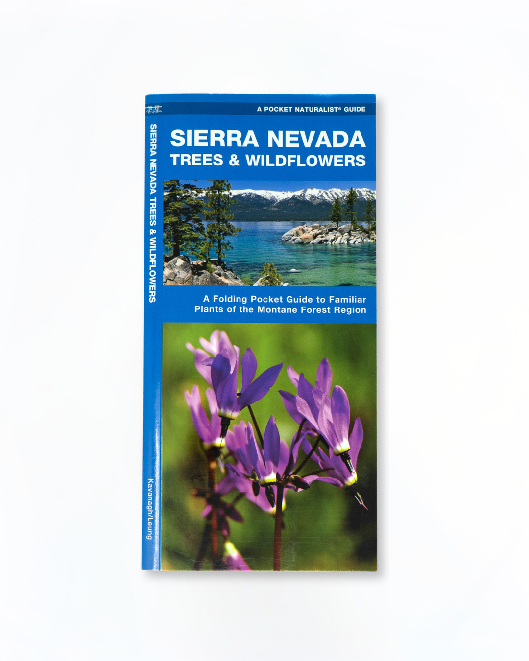 Sierra Nevada Trees & Wildflowers