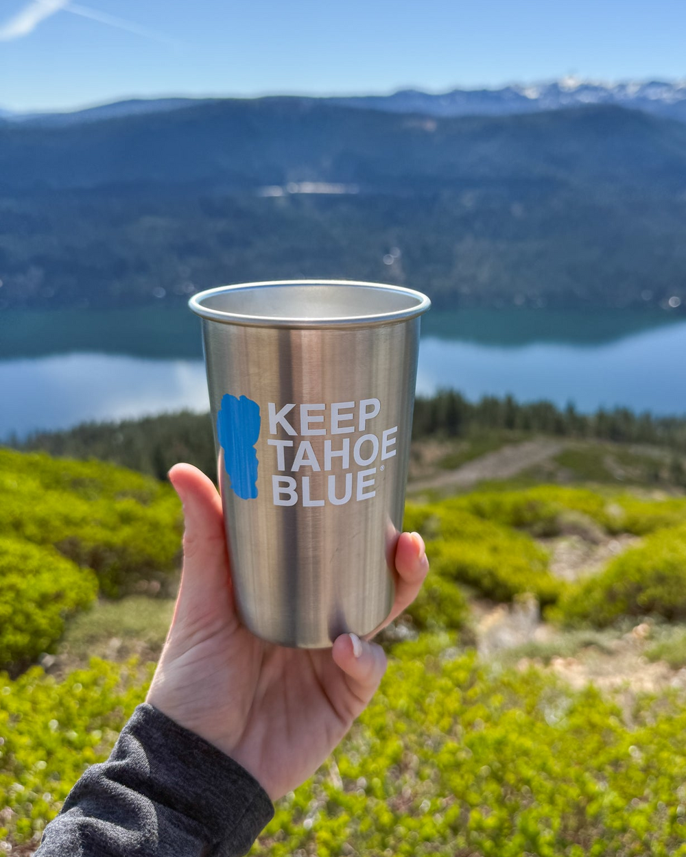 Stainless Steel Pint