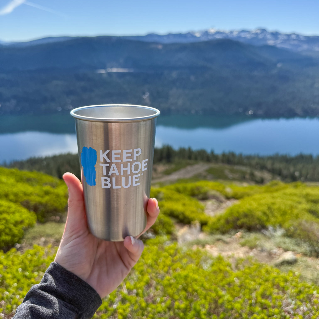 Stainless Steel Pint