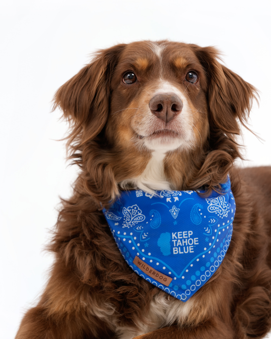 Wilderdog Bandana